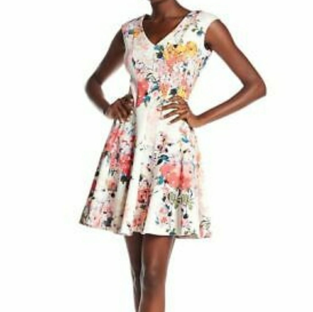 Just Taylor Fit and Flare Floral Dress